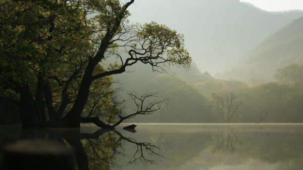 Restauration De La Nature Climat lac